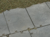HO*Beton-Panely typ IV*31x21mm